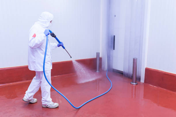Best Sign and Awning Cleaning  in Brownfields, LA